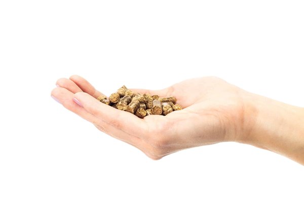 Astuce pour bien entretenir votre presse à pellets