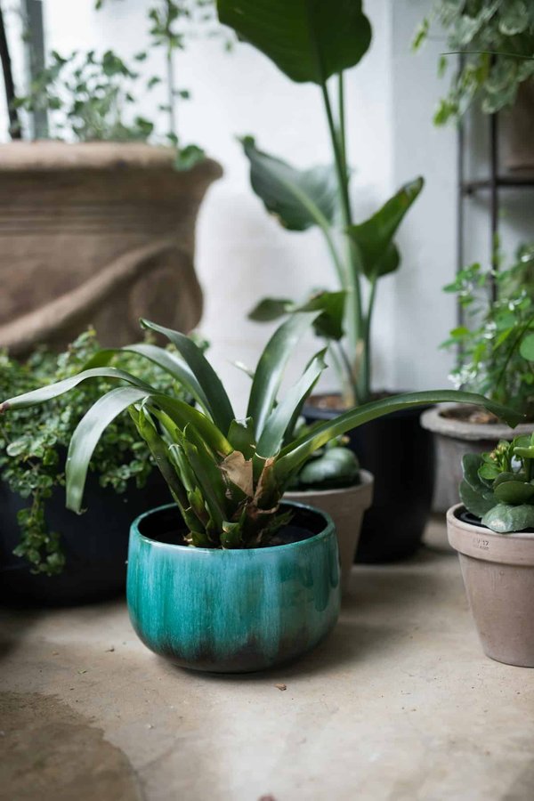 Comment concevoir un espace extérieur unique en faisant appel à Déco-Jardin ?