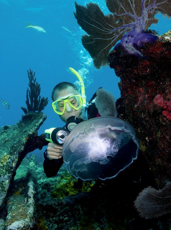 Quels sont les meilleurs masques de snorkeling?